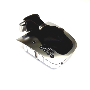 View Shift. Transmission. Knob. Lever. Automatic. COVER. Manual.  Full-Sized Product Image 1 of 5